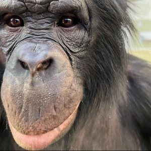 Meet your Posher, Charleene